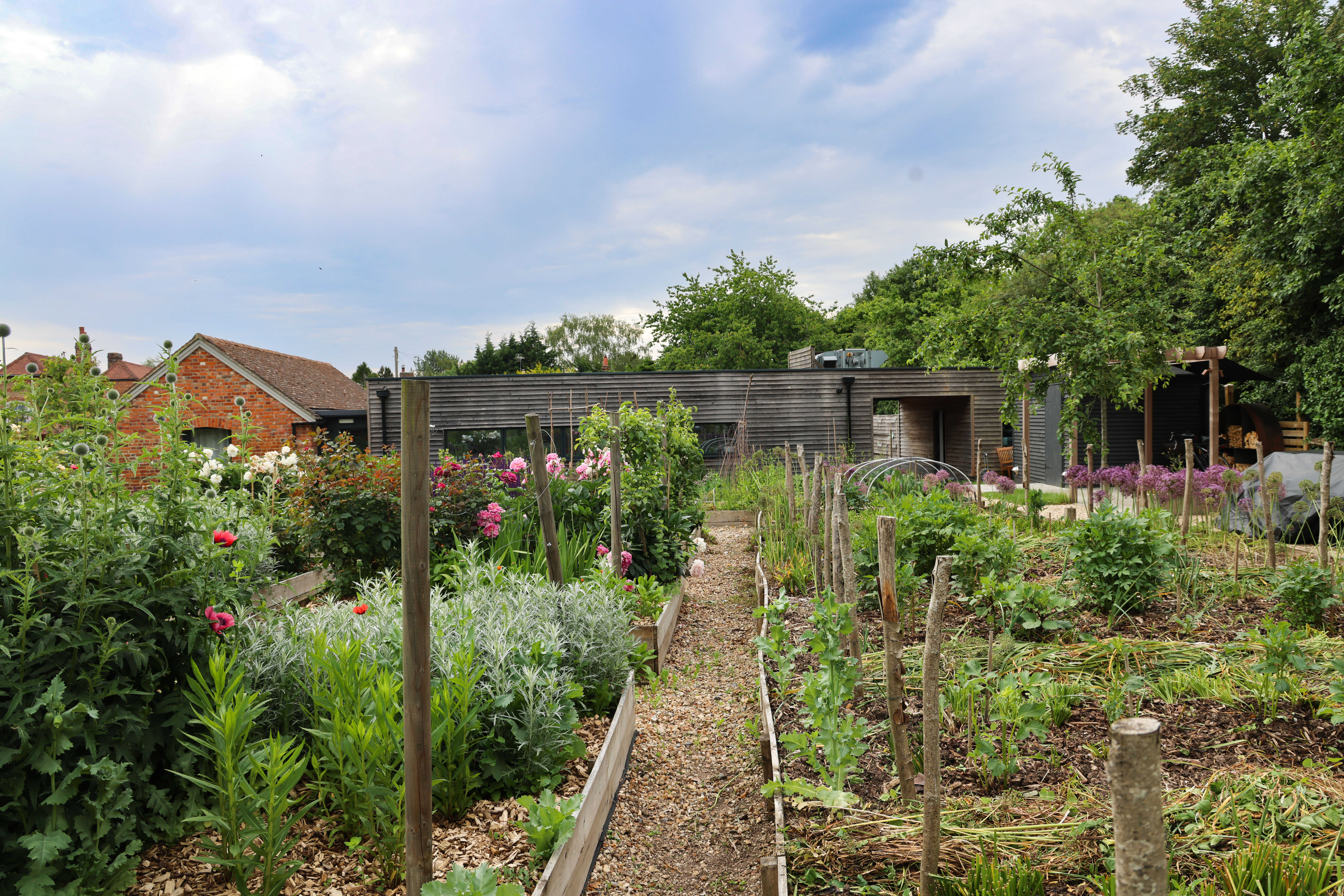 TWS COOKERY SCHOOL LR